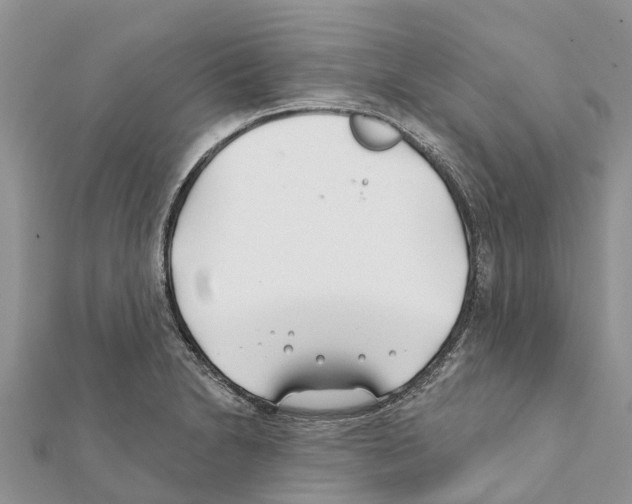 X0000111381230200908211333