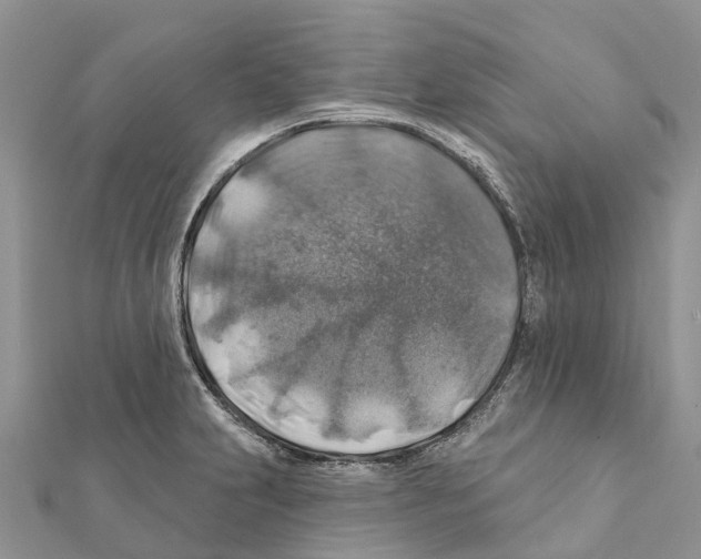 X0000111381231200908211333