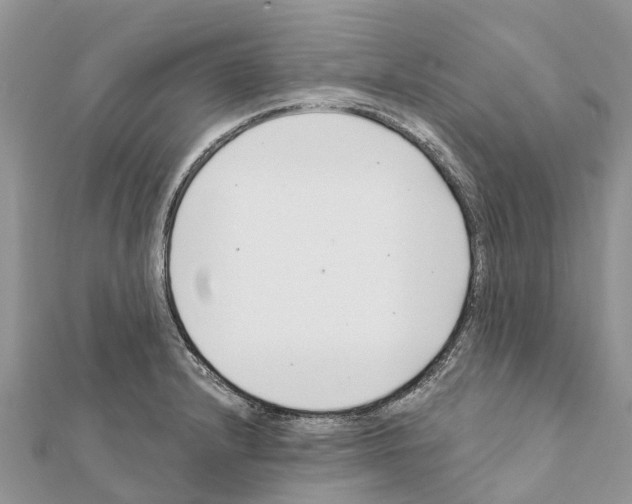 X0000111381232200908211333