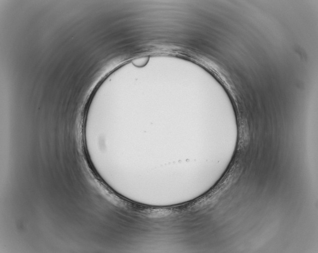 X0000111381235200908211333