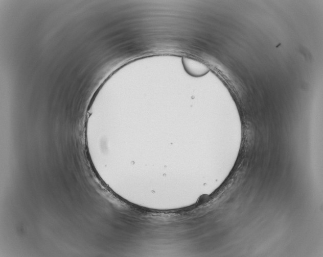 X0000111381236200908211333