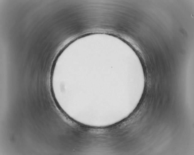 X0000111381237200908211333