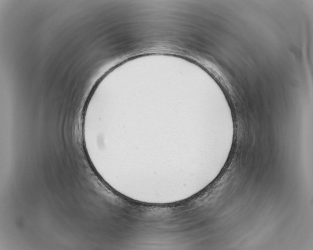 X0000111381238200908211333