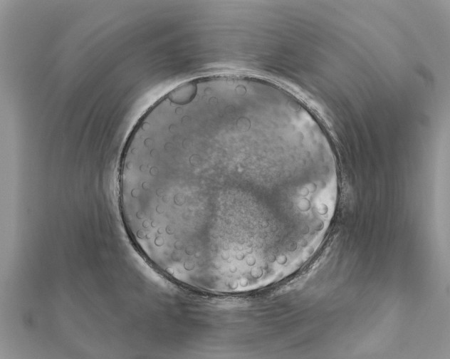 X0000111381239200908211333