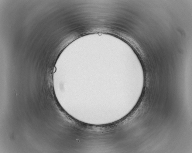 X0000111381241200908211333