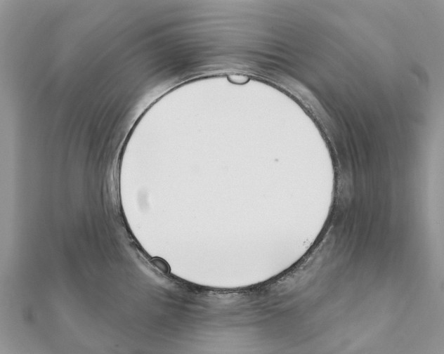 X0000111381242200908211333