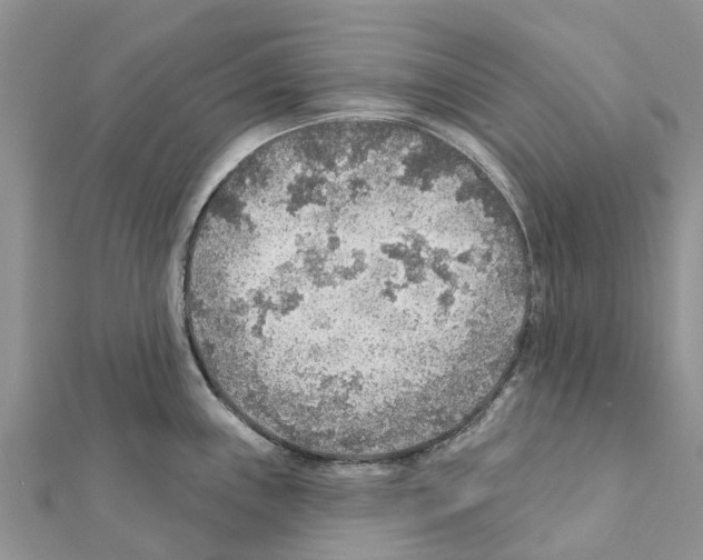 X0000111381243200908211333