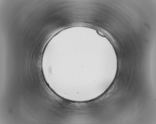 X0000111381244200908211333