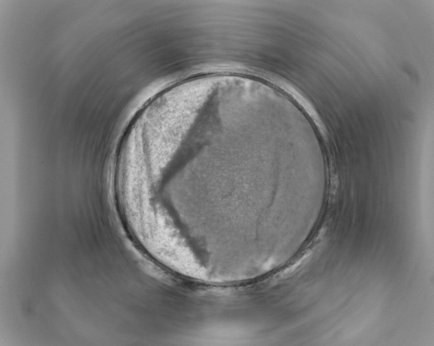 X0000111381245200908211333