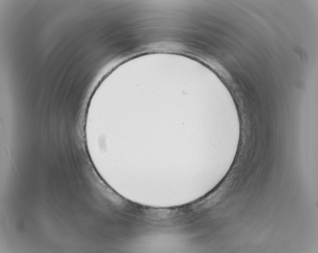 X0000111381248200908211333