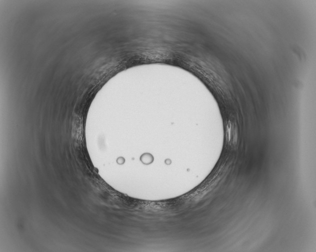 X0000111381251200908211332