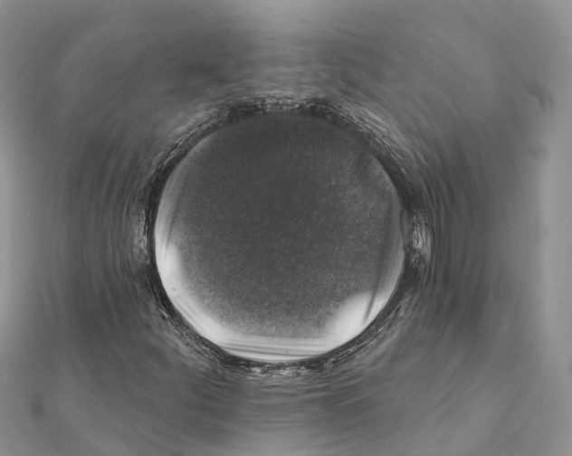 X0000111381252200908211332