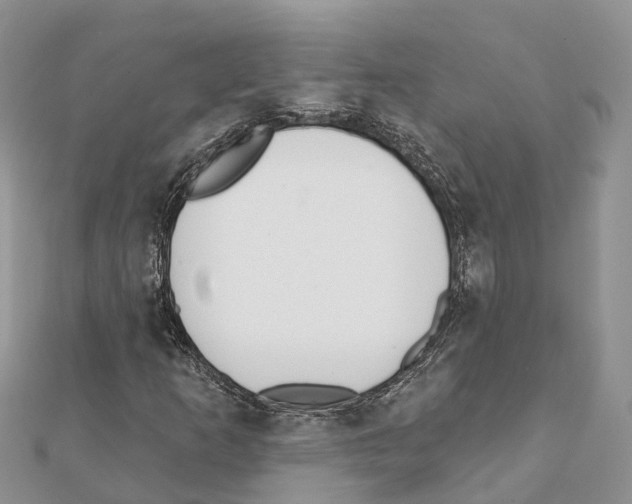 X0000111381253200908211332