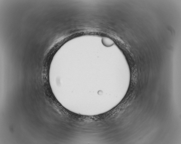 X0000111381255200908211332