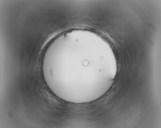 X0000111381256200908211332