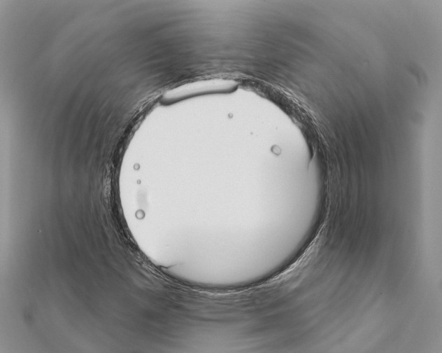 X0000111381257200908211332