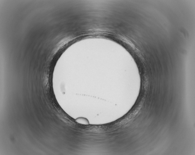 X0000111381259200908211332