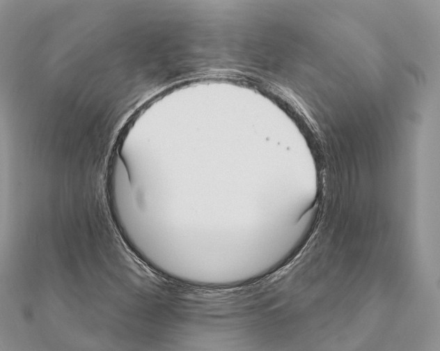 X0000111381260200908211332