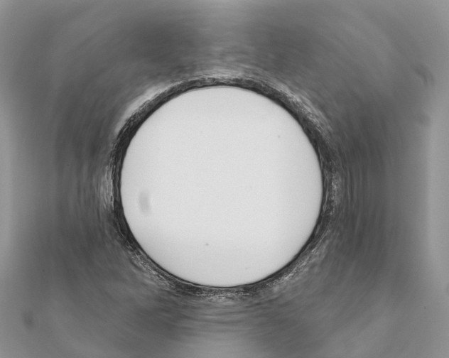 X0000111381262200908211332