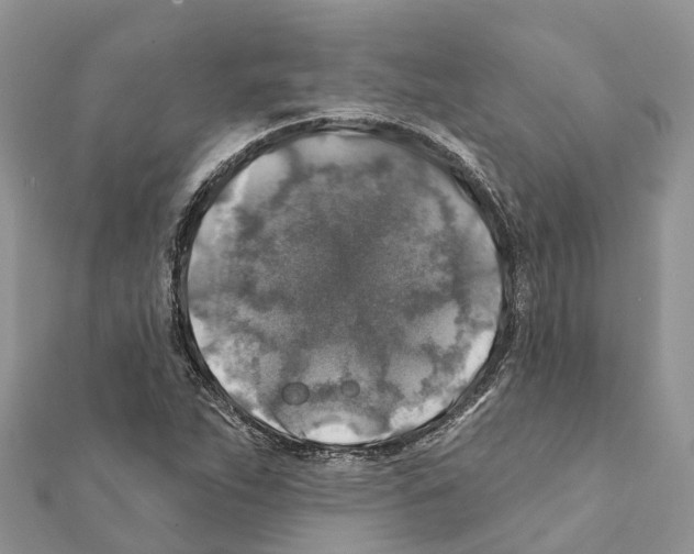 X0000111381263200908211332