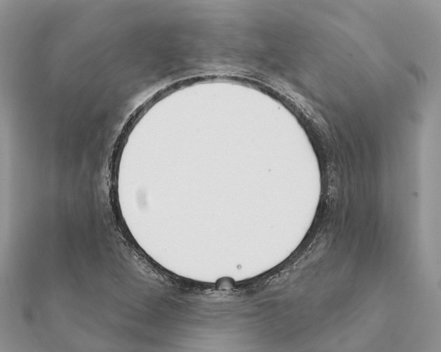 X0000111381264200908211332