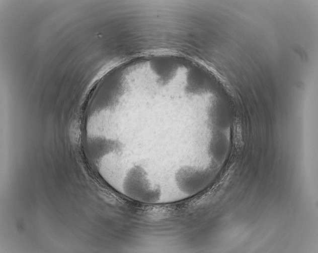 X0000111381266200908211332