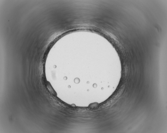 X0000111381267200908211332