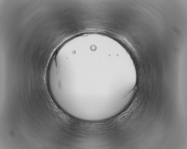 X0000111381268200908211332