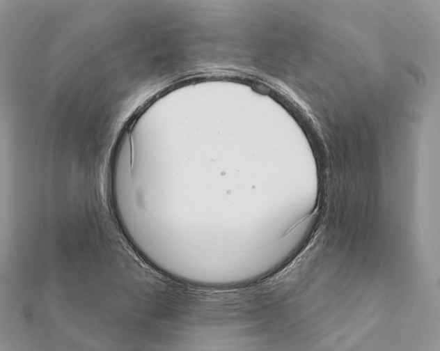 X0000111381269200908211332