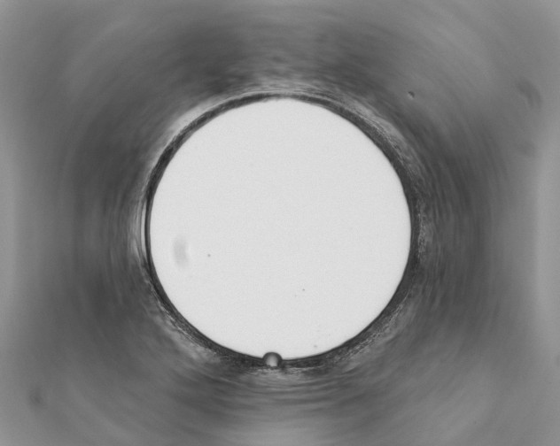 X0000111381272200908211332