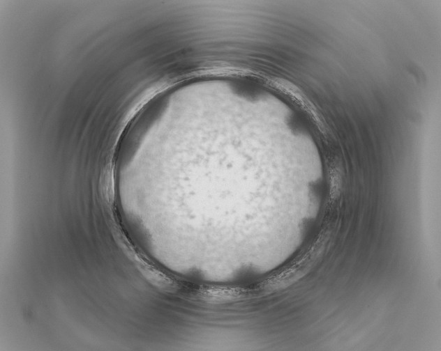 X0000111381274200908211332