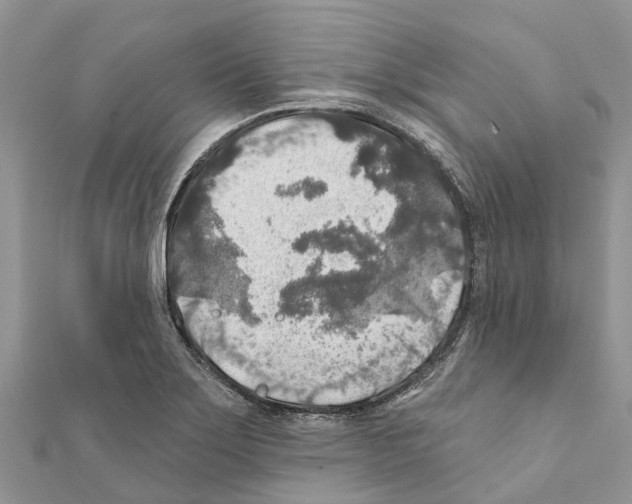 X0000111381275200908211332