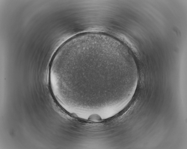 X0000111381276200908211332