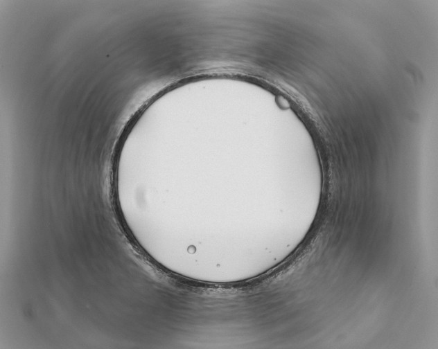 X0000111381277200908211332