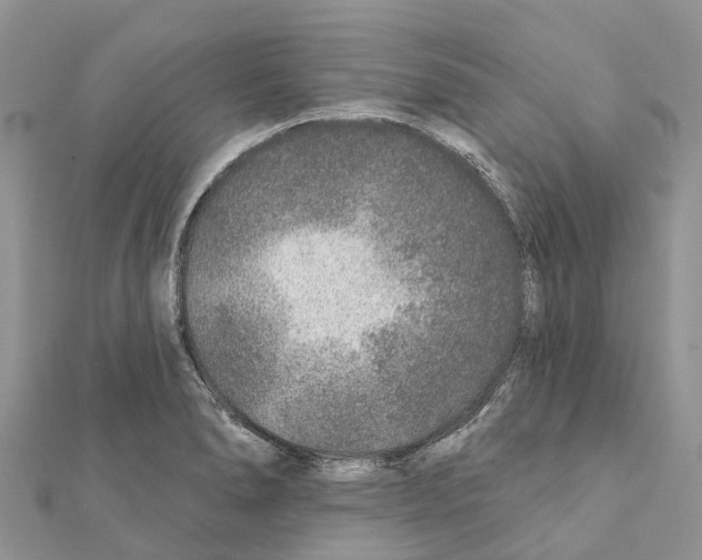 X0000111381278200908211332