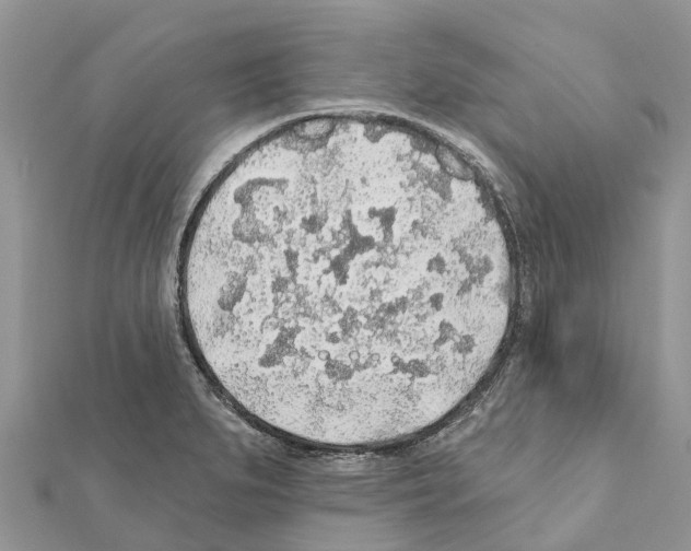 X0000111381279200908211332