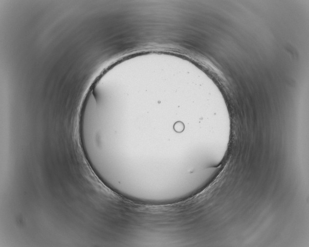 X0000111381280200908211332