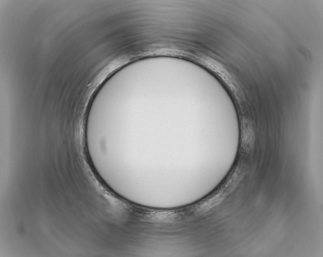 X0000111381282200908211332