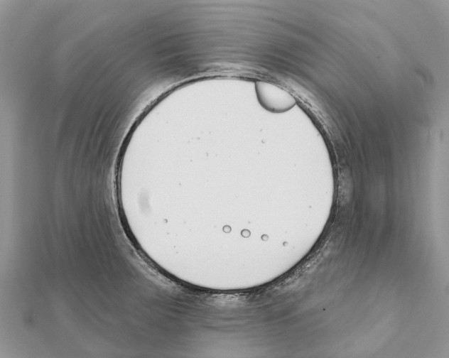 X0000111381283200908211332