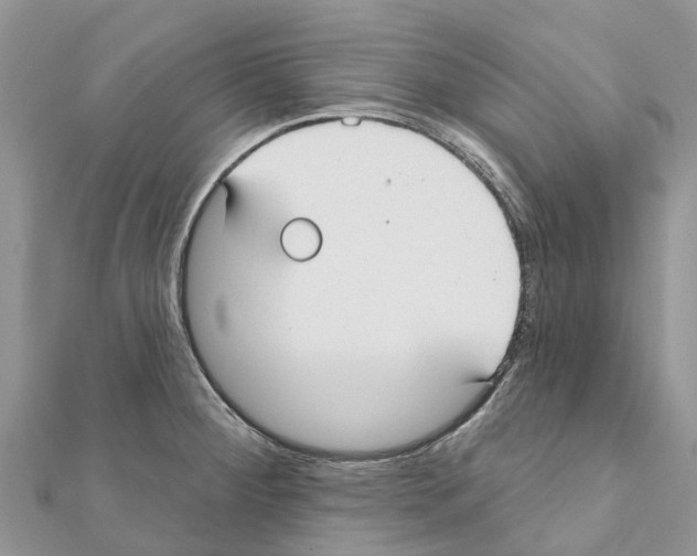 X0000111381284200908211332