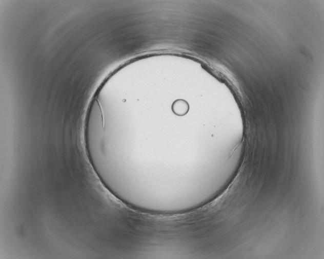 X0000111381288200908211332