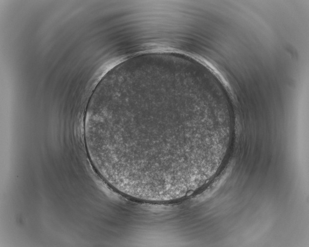 X0000111381289200908211332