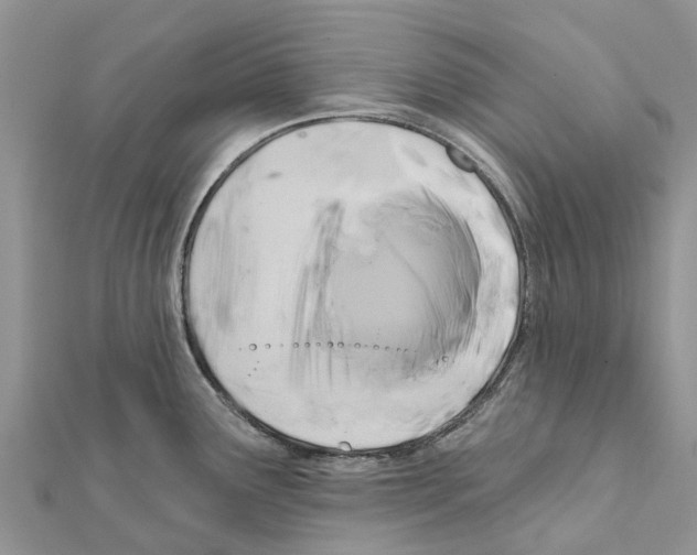 X0000111381291200908211332