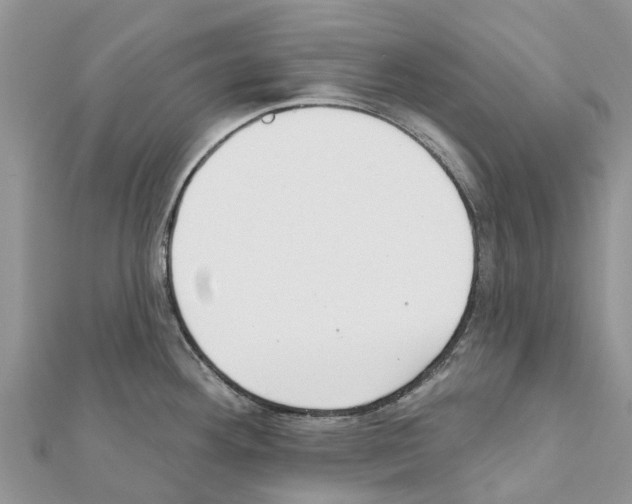 X0000111381292200908211332