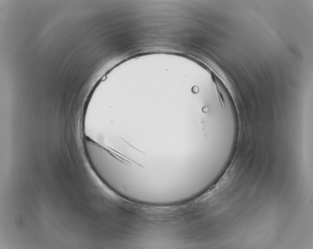 X0000111381293200908211332