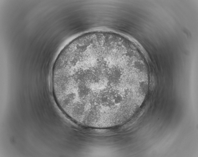 X0000111381295200908211332