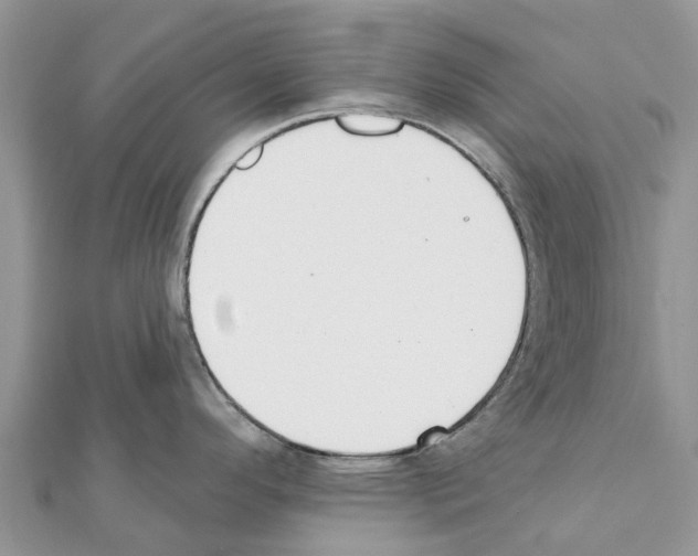 X0000111381296200908211332