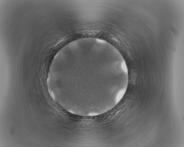 X0000111381297200908211331