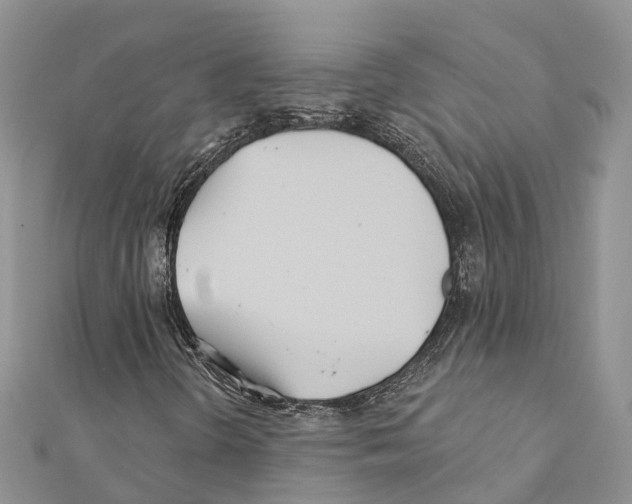 X0000111381298200908211331