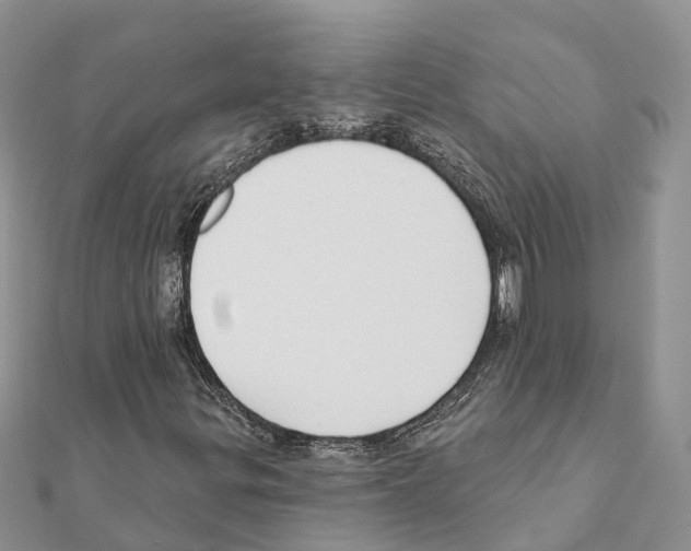 X0000111381299200908211331